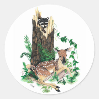 Sticker White Deer Fawn et Raccoon