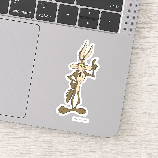 STICKER WILE E. COYOTE™ HAUT (Détail)