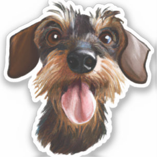 Sticker Wirehair Dachshund