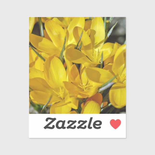 Sticker Yellow Crocus Flowers (Feuille)