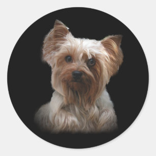 Sticker Yorkshire Terrier
