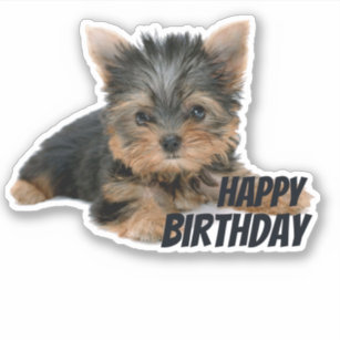 Chien Joyeux Anniversaire Autocollants Stickers Zazzle