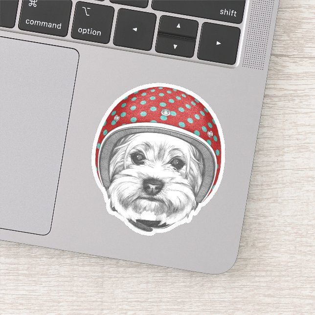 Sticker Yorkshire Terrier Daredevil (Détail)