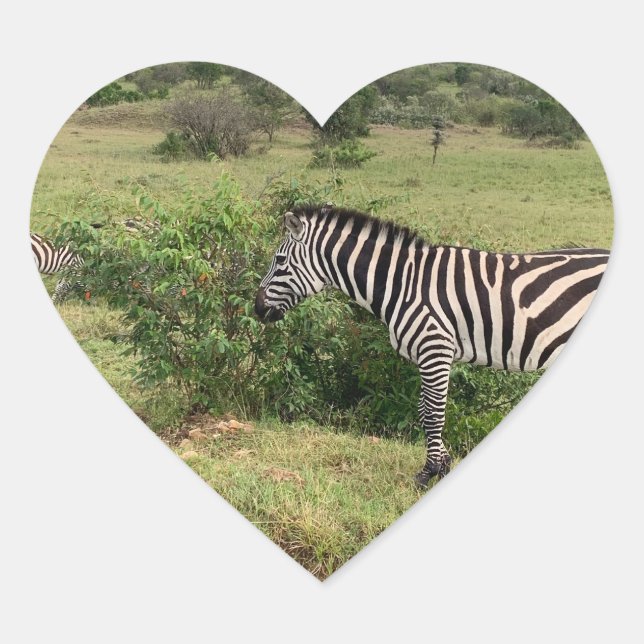 Sticker Zebra (Devant)