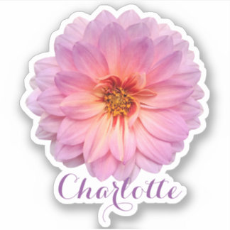 Sticker Zinnia rose personnalisé