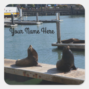 Stickers #3 Sea Lions Pier 39 de San Francisco