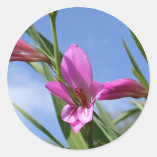 Stickers à fleurs rose ressort