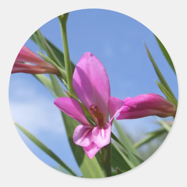 Stickers à fleurs rose ressort (Devant)