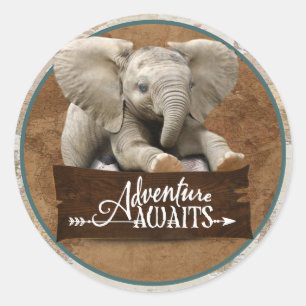 Stickers Adventure Await