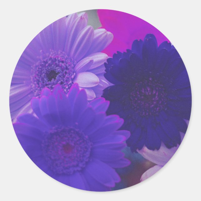 Stickers Art Décal Gerbera violet Fleurs marguerit (Devant)