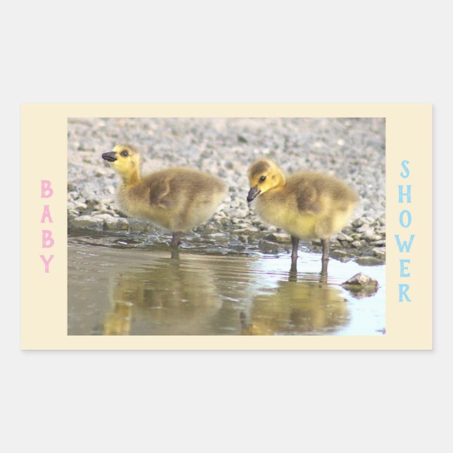 Stickers baby shower Goslings (Devant)