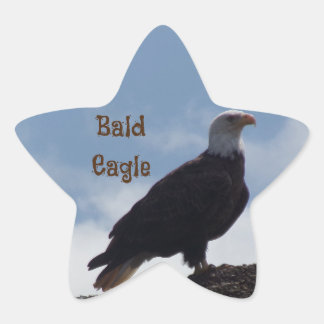 Stickers Bald Eagle Star