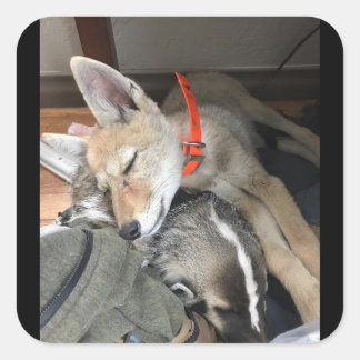 Stickers Benny et Doc