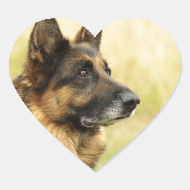 Stickers berger allemands mignons (Devant)