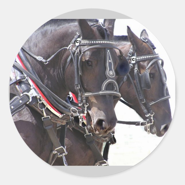 Stickers Big Hors (Devant)