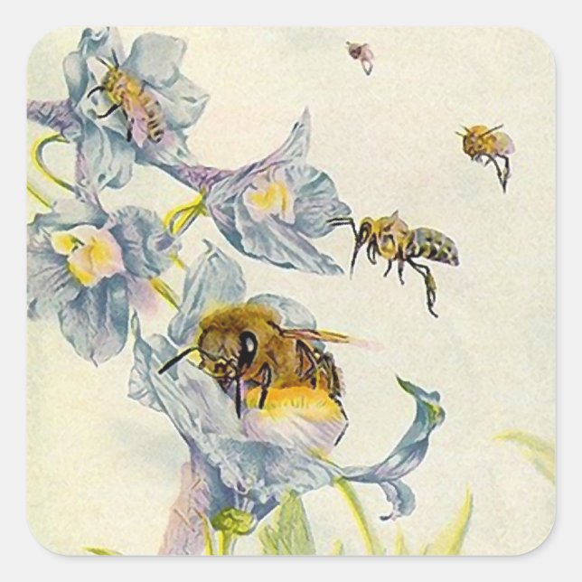 STICKERS Bio HONEY apiculteur abeilles fleurs (Devant)