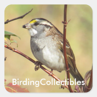 Stickers BirdingCollectibles