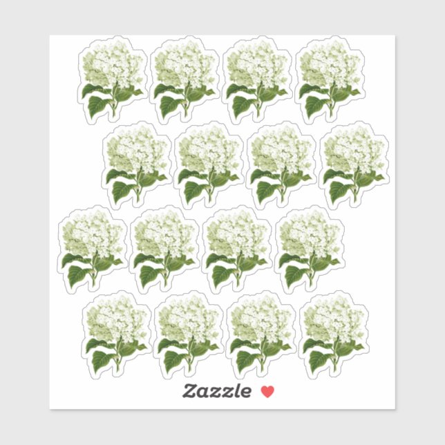 Stickers blanc antique Hydrangea Blossom (Feuille)
