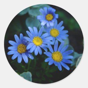Stickers Blue Daisy