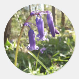 Stickers Bluebells