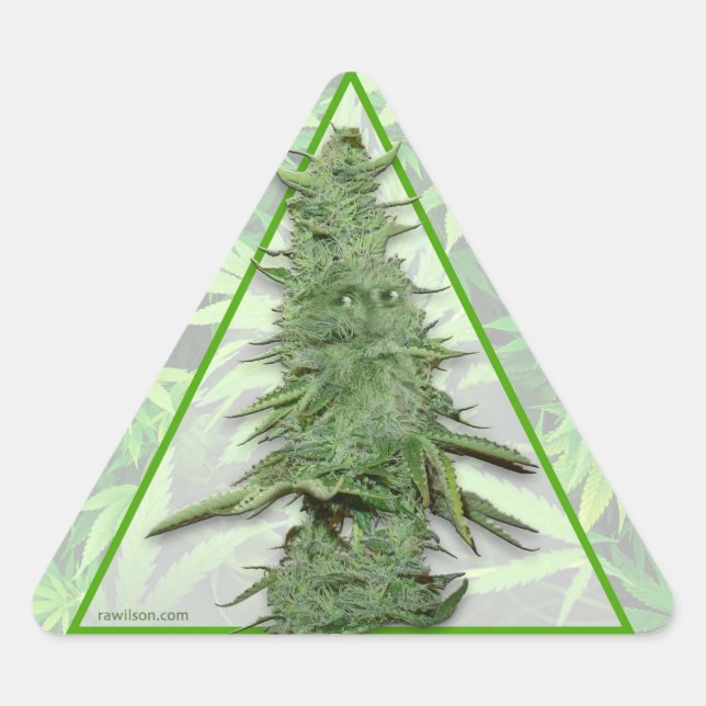 Stickers Bob vert (20) (Devant)