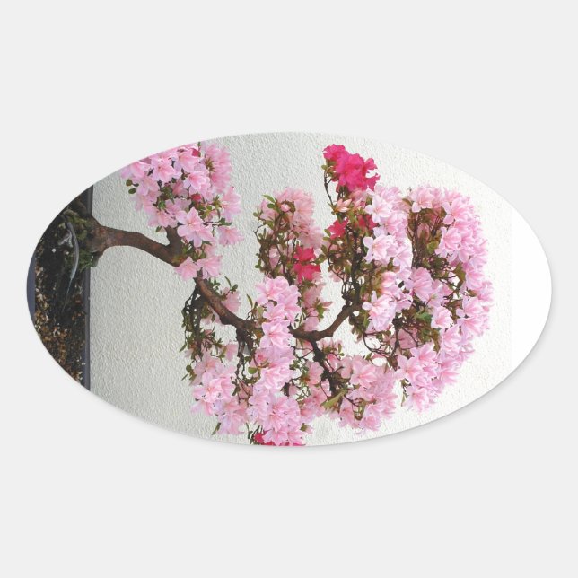 stickers Bonsai Tree rose (Devant)