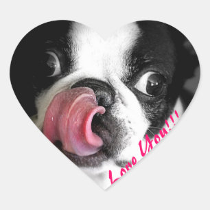 Stickers Boston Terrier