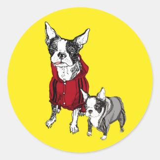 Stickers Boston Terrier avec chiot en costume de p