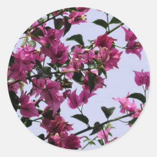 Stickers Bougainvillea