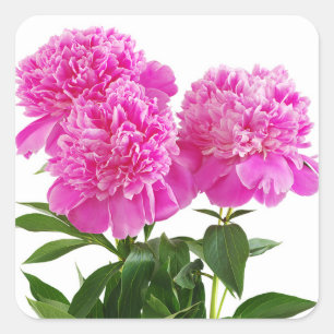 Stickers Bouquet Pink Peony