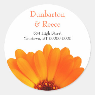 Stickers Bright Daisy