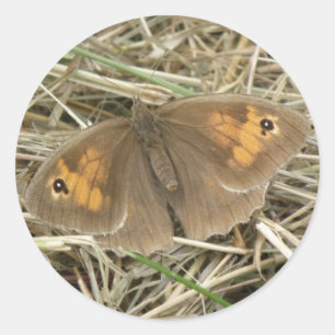 Stickers Brown à papillon de prairie pour femmes