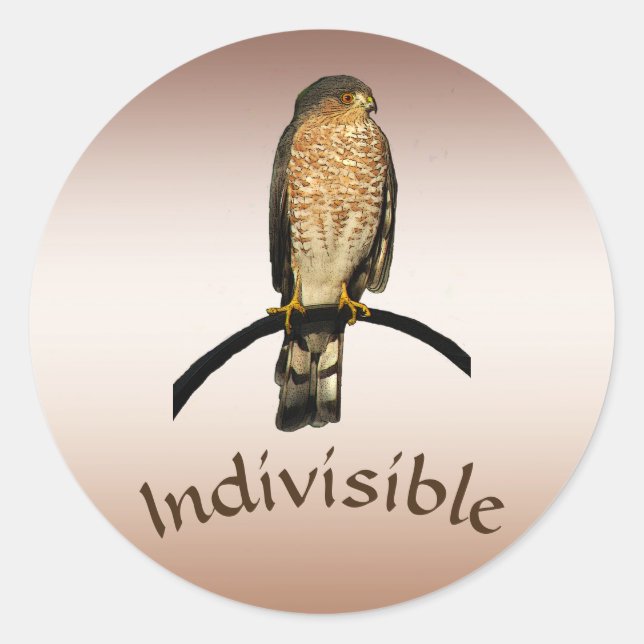 Stickers Brown Hawk indivisible (Devant)