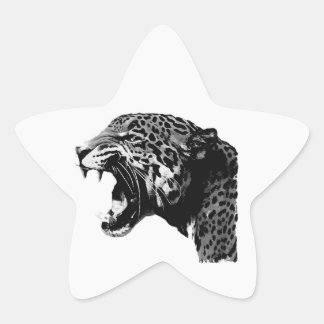 Stickers BW Jaguar Star