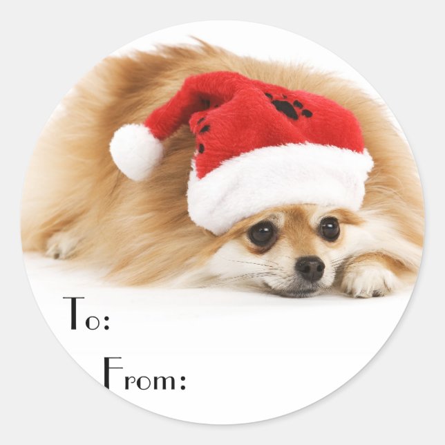 Stickers Cadeau Chien de Noël (Devant)