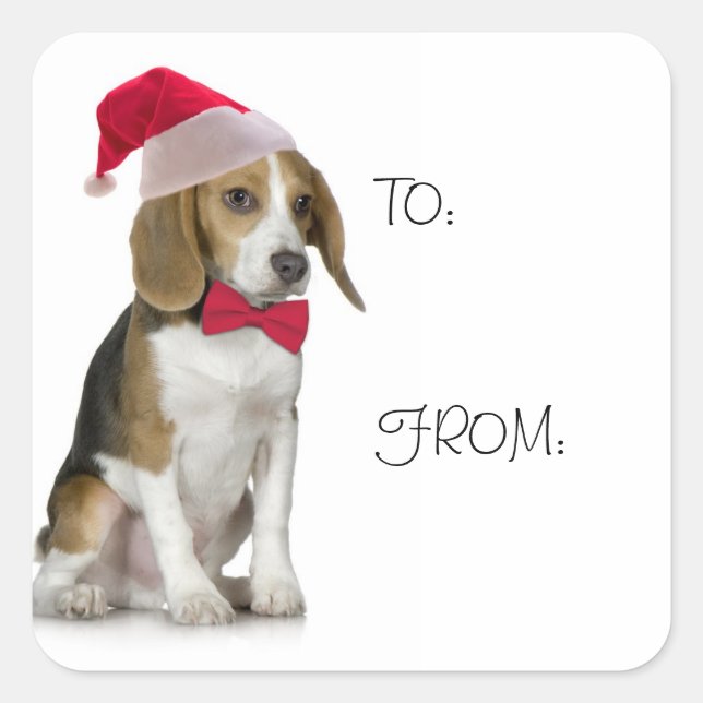 Stickers cadeaux Beagle père Noël (Devant)