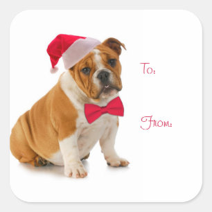 Stickers Cadeaux père Noël Bulldog