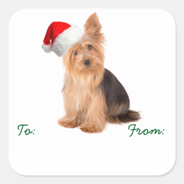 Stickers cadeaux père Noël Yorkie (Devant)