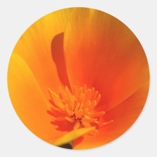 stickers California Poppy