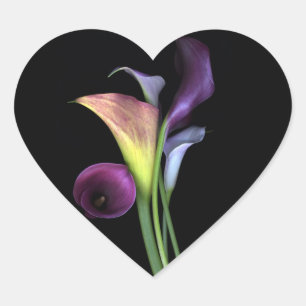 Stickers Calla Lilies