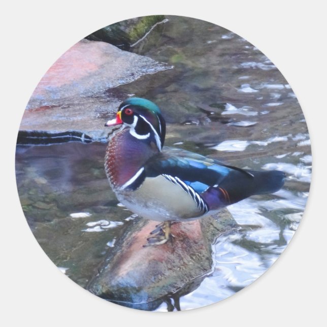 Stickers canard à bois no 3 (Devant)