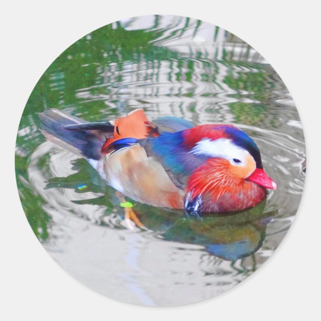 Stickers Canard Mandarin #3 (Devant)