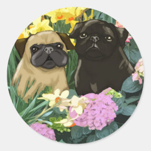 Stickers Carlins de ressort précieux