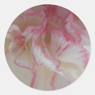 Stickers Carnation blanche et rose