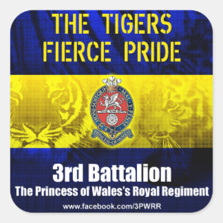 Stickers Carré 6 x 3PWRR