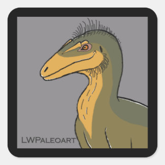 Stickers Carré Aérostène