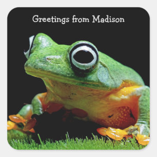 Stickers Carré de grenouille texte personnalisé