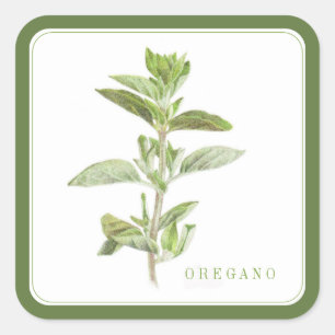 Stickers Carré OREGANO FRAIS (+texte) Vert