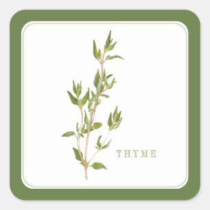 Stickers Carré PEU FRAIS THYME - Vert