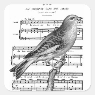 Stickers Carré vintage de musique Bird